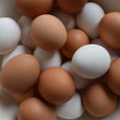 Eggs farm fresh free range organic 30 eggs